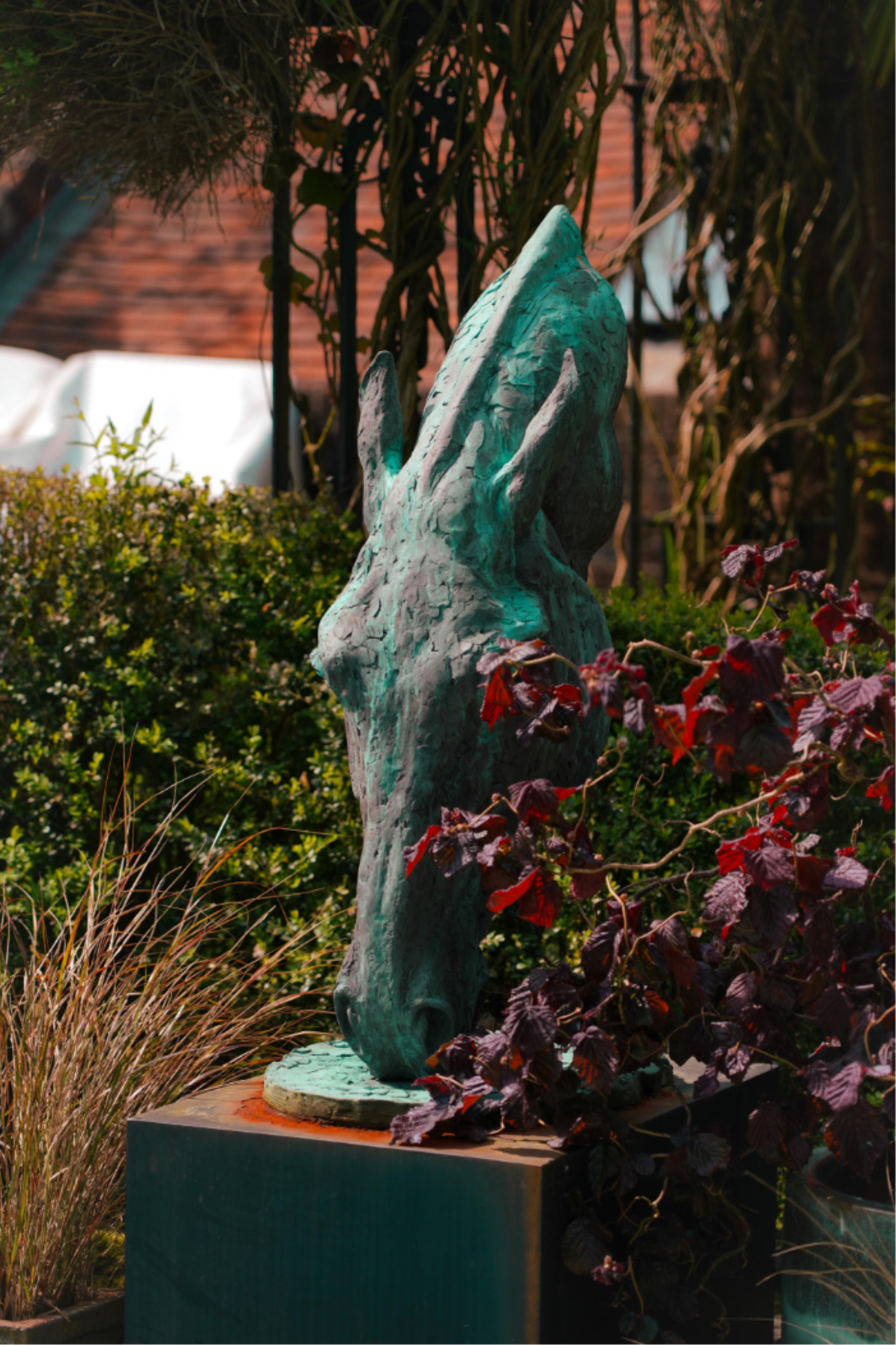 Lucy Kinsella, (b. 1960), 'Drinking Horse'